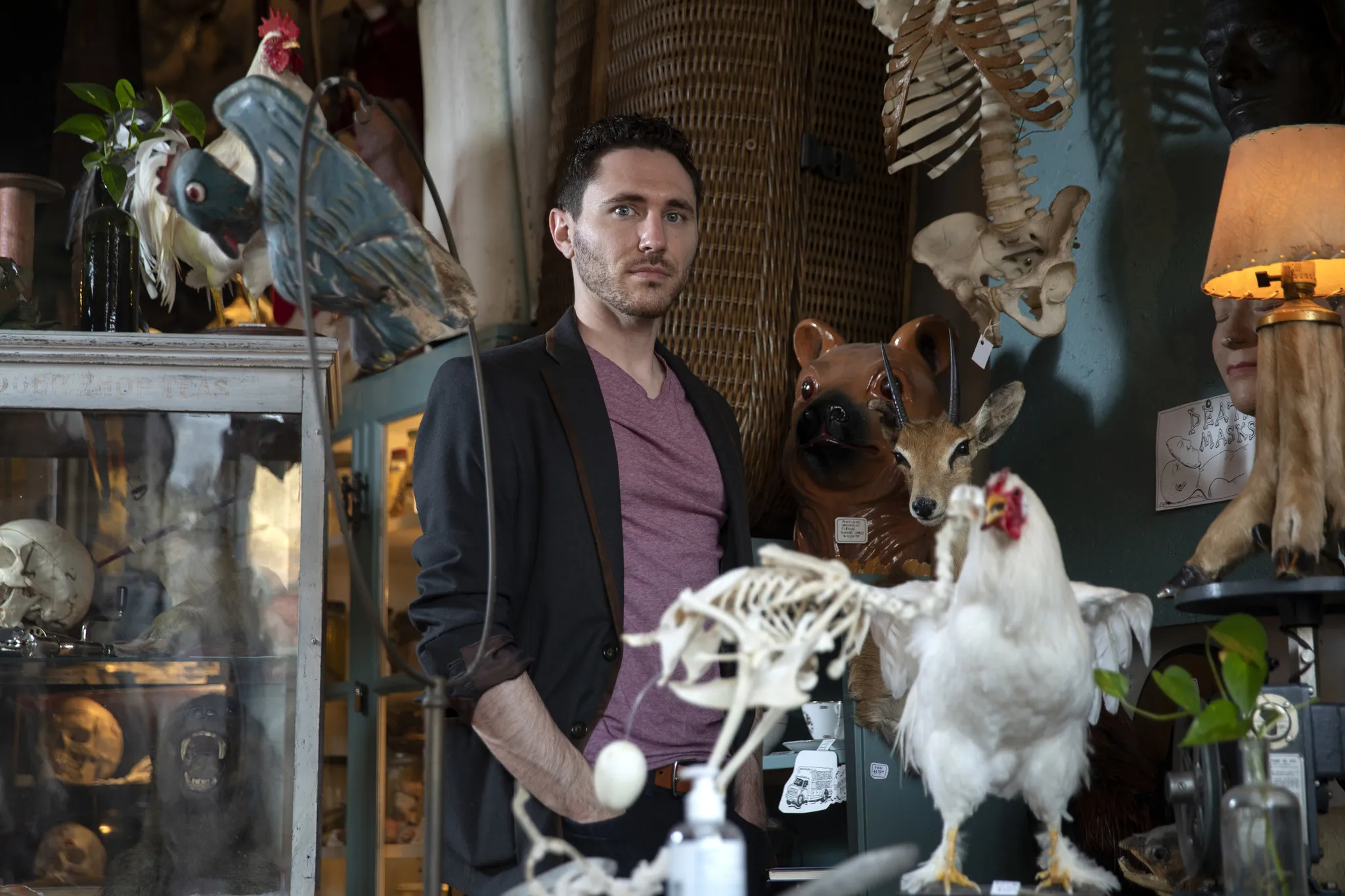 The Science of Morbid Curiosity w/ Dr. Coltan Scrivner - The Psychology Podcast, Scott Barry Kaufmann