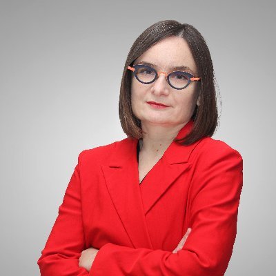 Turning Ideas Into Action w/ Dr. Zorana Ivcevic Pringle - The Psychology Podcast, Scott Barry Kaufmann